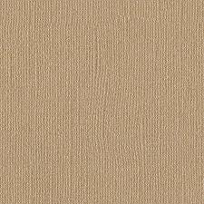 American Crafts; Bazzill, 12x12 Cardstock, Bling; Blank Check