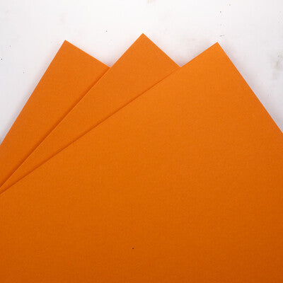 Prism Studio Whole Spectrum Loose 12 x 12 Heavyweight Cardstock; Bird of Paradise