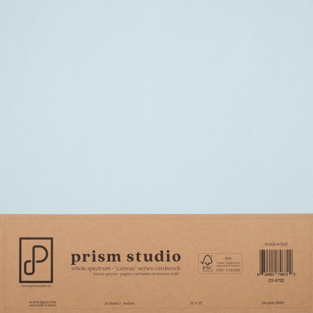 Prism Studio, 12X12 Whole Spectrum "Canvas" Series Textured Cardstock, Tradewind