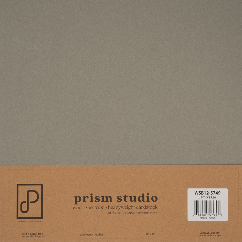 Prism Studio Whole Spectrum Loose 12 x 12 Cardstock; Lamb's Ear