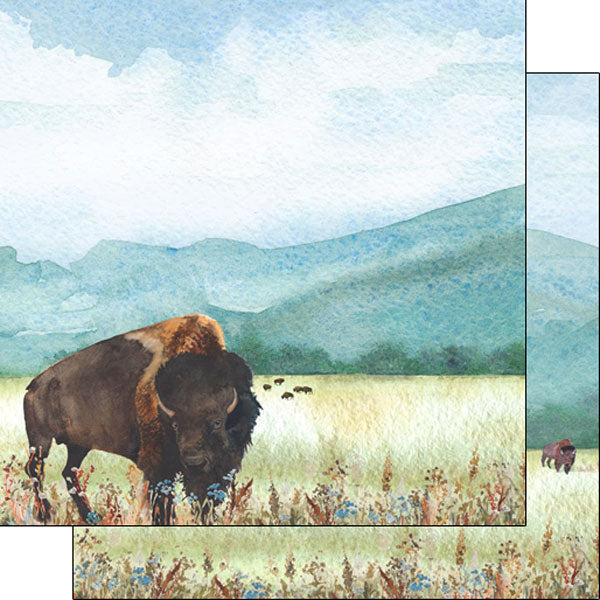 Scrapbook Customs, Buffalo/Bison Watercolour