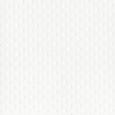 American Crafts,Bazzill 12x12 cardstock - Salt