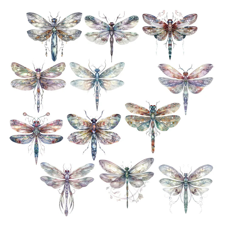 Simply Stated, Dragonflies Ephemera