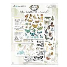 49th & Market, Nature Study Wings Rub on Transfer set