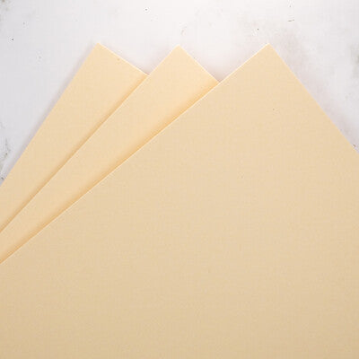 Prism Studio Whole Spectrum 12 x 12 Heavyweight Cardstock; Apricot Zinnia