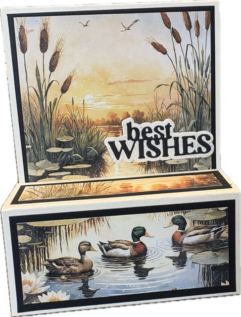 Marilyn Whatman, Best Wishes and Fishes Card Kit