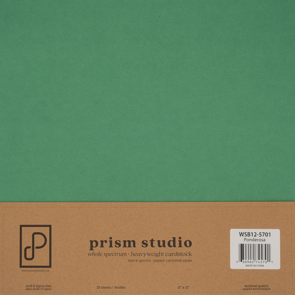 Prism Studio Whole Spectrum 12 x 12 Cardstock; Ponderosa