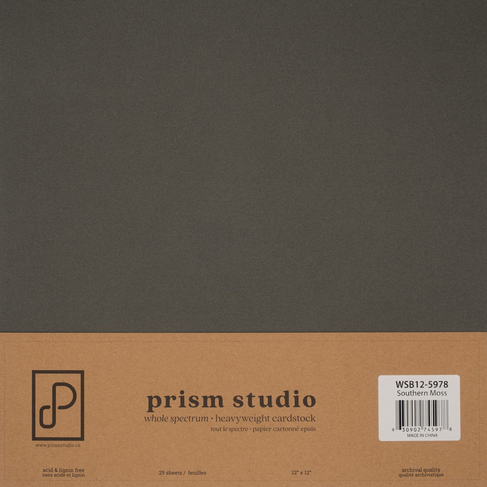 Prism Studio Whole Spectrum 12 x 12 Cardstock; Southern Moss
