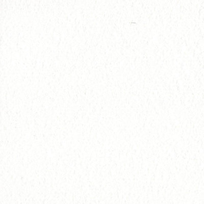 Bazzill 12x12 cardstock - White